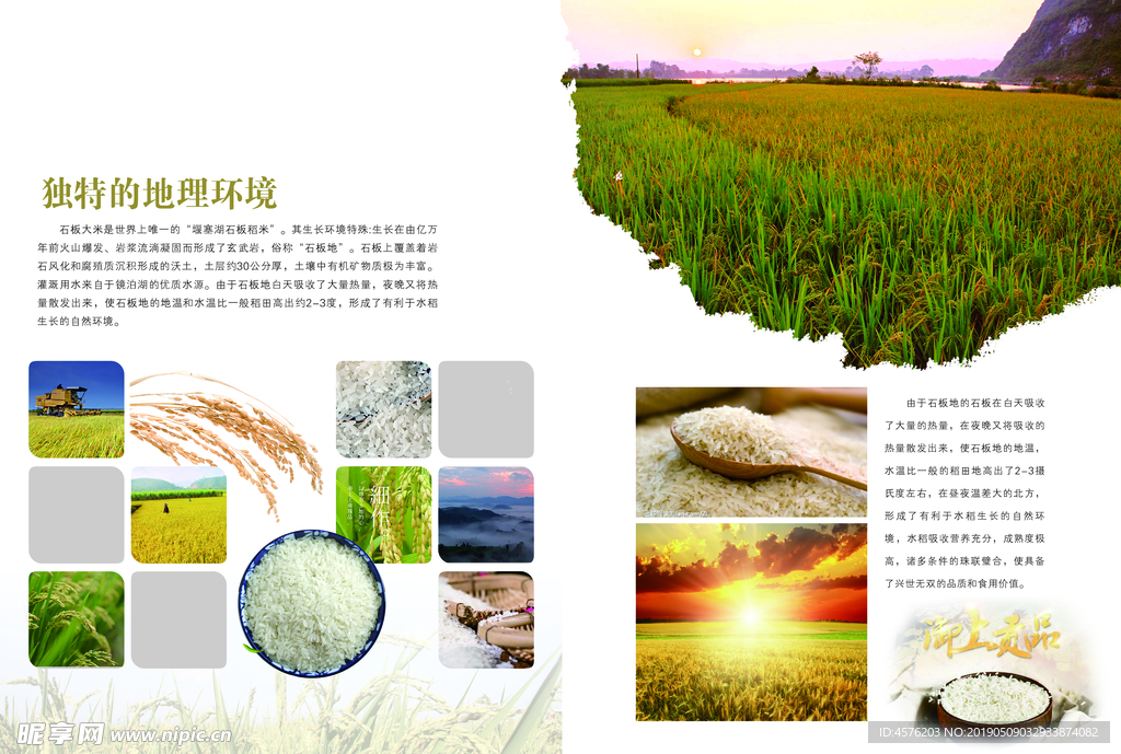画册海报设计