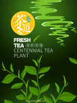 插画茶 手绘茶 茶包装设计 茶