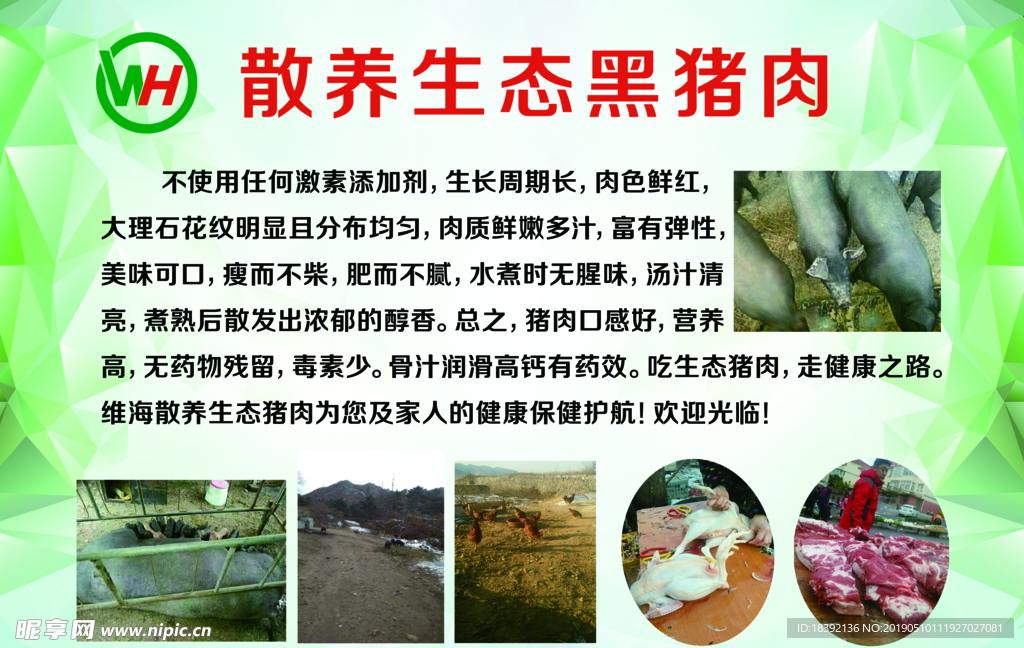 黑猪肉