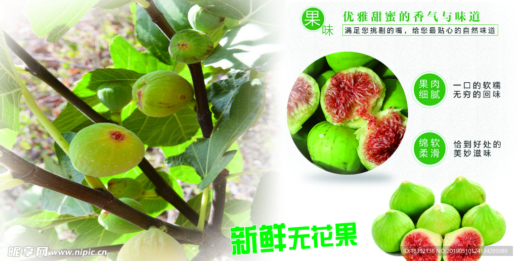 无花果