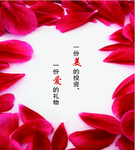 花瓣海报
