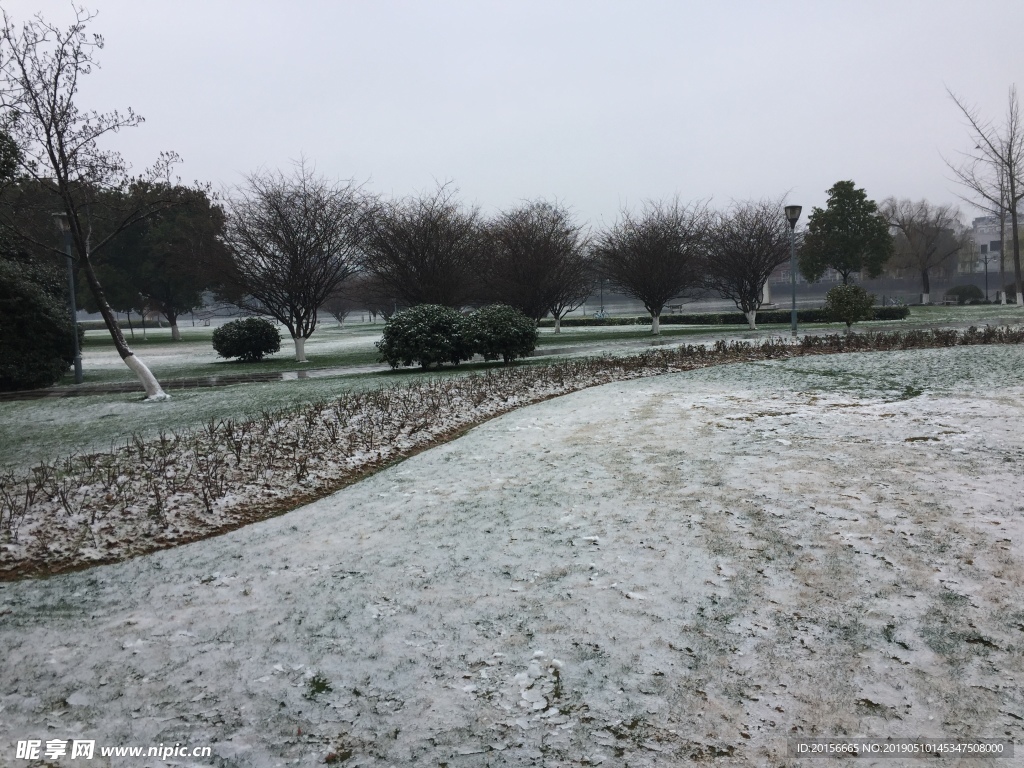 雪景 下雪 公园