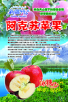 阿克苏苹果