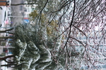 雪景 雪花 微距 摄影 自然