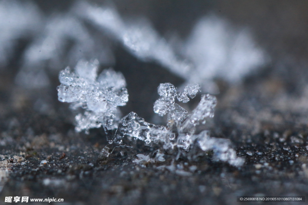 雪景 雪花 微距 摄影 自然