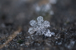 雪景 雪花 微距 摄影 自然