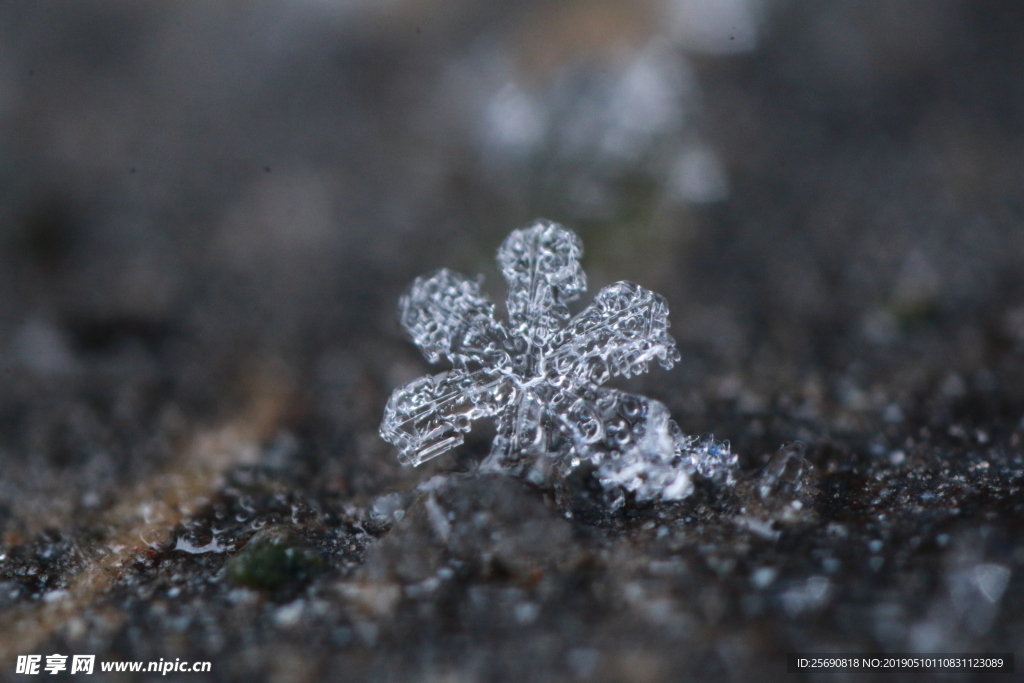 雪景 雪花 微距 摄影 自然