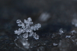 雪景 雪花 微距 摄影 自然