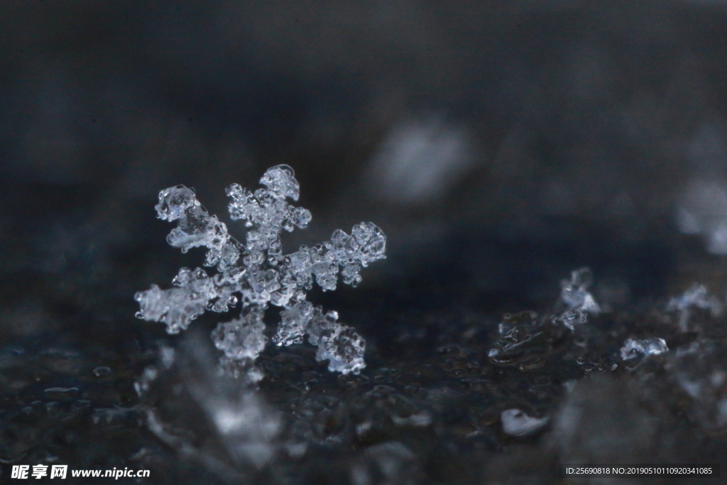 雪景 雪花 微距 摄影 自然