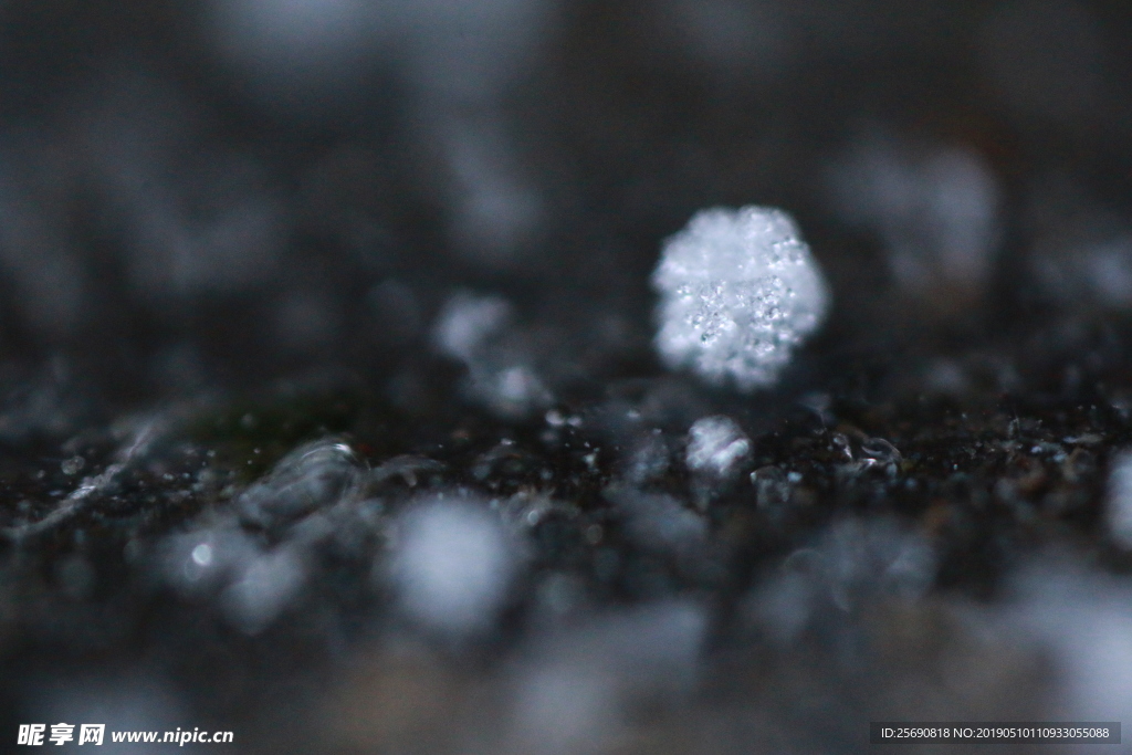 雪景 雪花 微距 摄影 自然