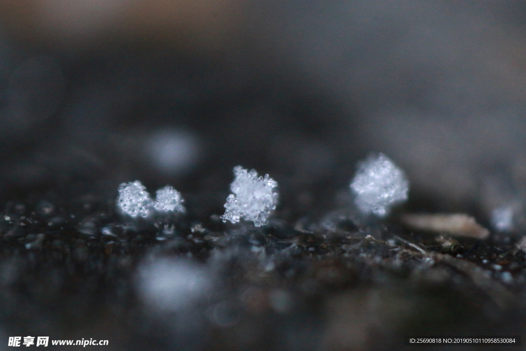 雪景 雪花 微距 摄影 自然