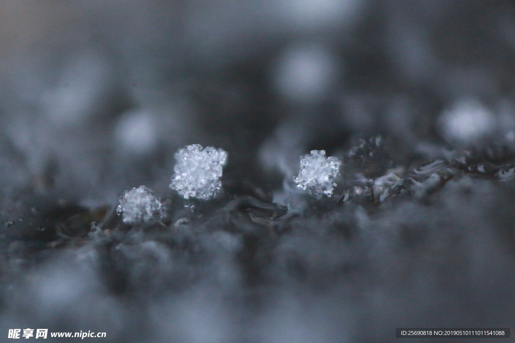 雪景 雪花 微距 摄影 自然