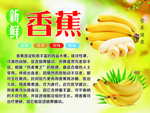 香蕉海报