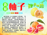 柚子