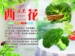 西兰花