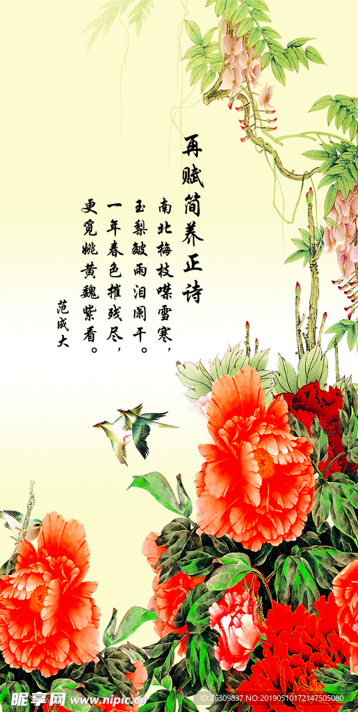 牡丹花