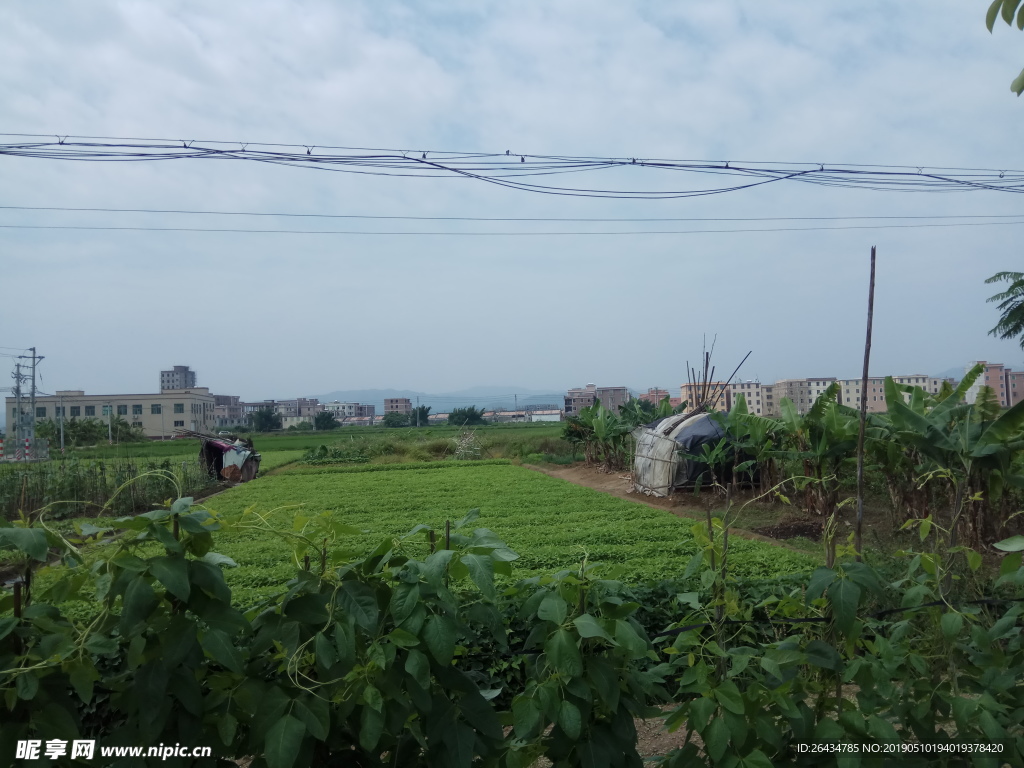 田园悠闲风光