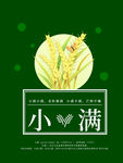 小满