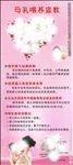 母乳喂养