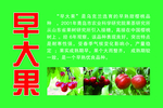 早大果