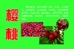 樱桃