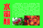 水蜜桃