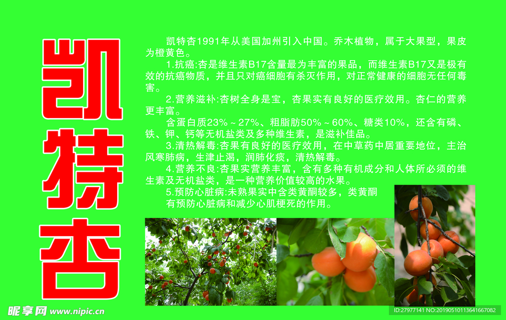 凯特杏