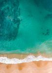 海洋沙滩