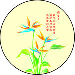 鹤望兰