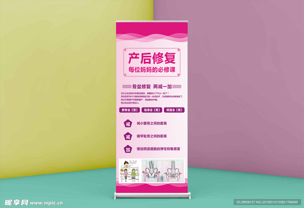 盆骨缝隙 2