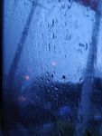 雨珠