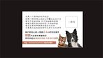 宠物名片 贴纸 海报