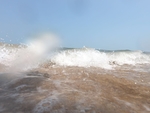 海
