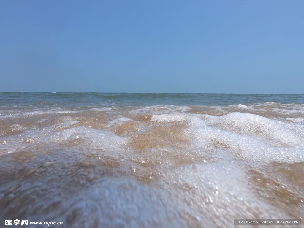 海