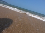 海