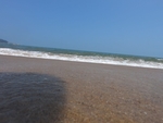 海