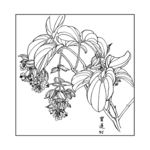 宝莲灯