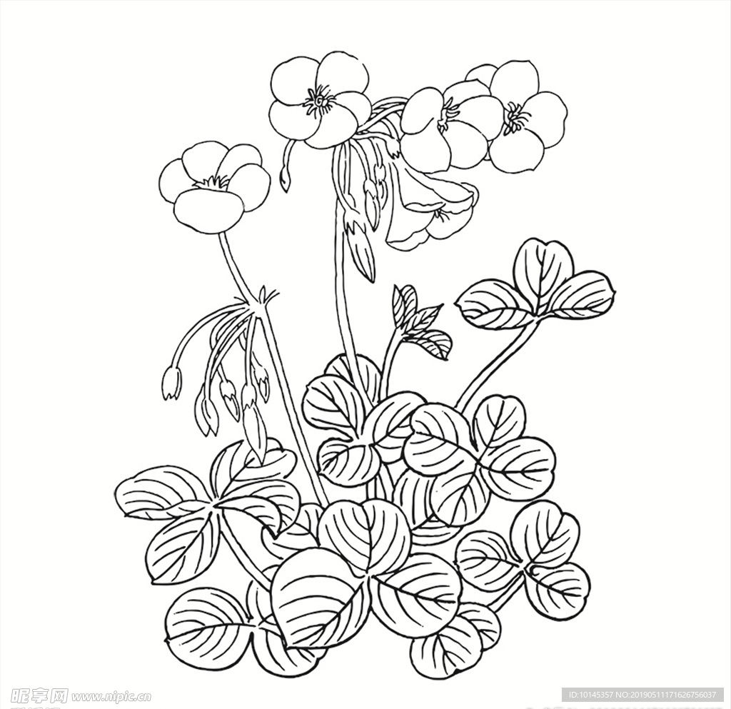 花卉