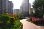 小区一角