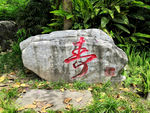 石刻寿文化