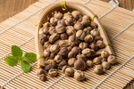 白豆蔻