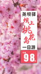 桃花节旅游海报