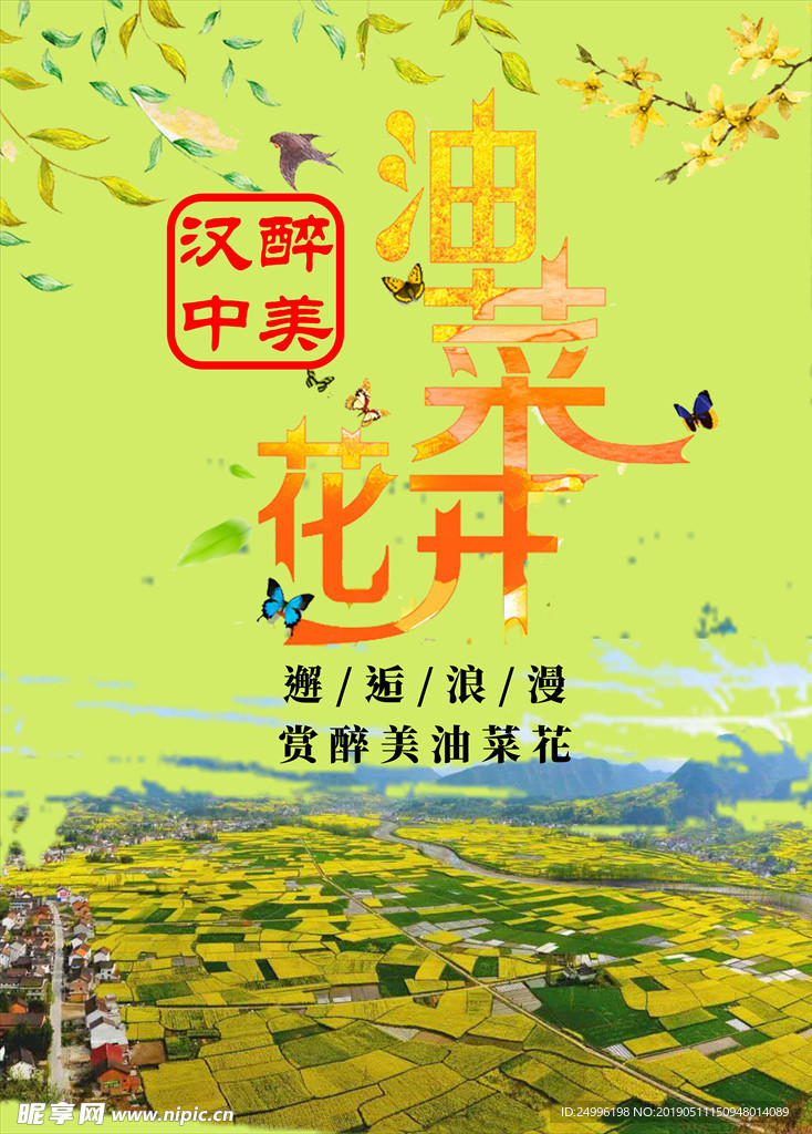 汉中油菜花