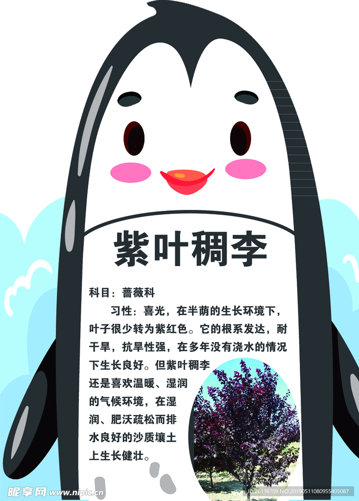 树牌