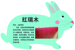 树牌