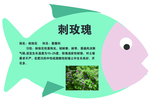 树牌
