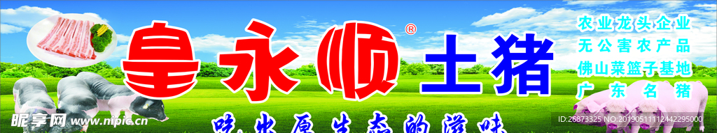 皇永顺土猪
