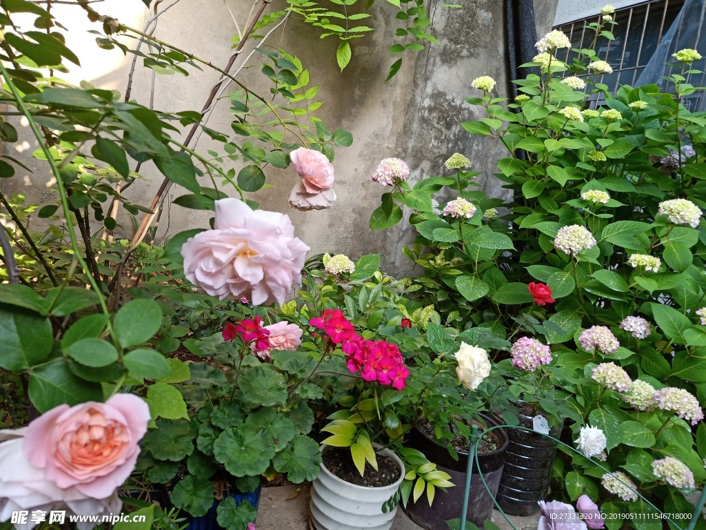花园