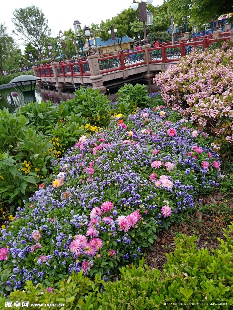 植物园花卉