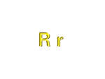 黄金字r